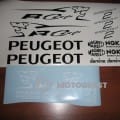 PEUGEOT SPEEDFIGHT 2 rcup grafikos