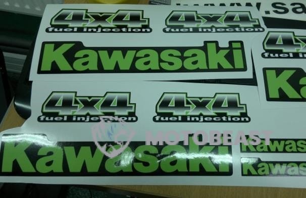 Kawasaki Teryx žalios grafikos