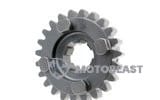 Antrinis veleno pavara (5 -oji) 23 dantys Derbi Euro 3 (D50B0)