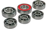 GY6 GOLING KIT TYPE 139QMB   139QMA
