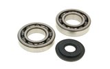 Crankshaft guolys + alyvos sandariklio rinkinys „Honda 125-150“ 4 taktų