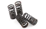 „Valve Spring“ rinkinys (4) „Malossi Piaggio VX-R 200“