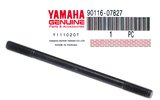 Cilindro smeigės varžtas M7x1x109 Yamaha Aerox / MBK