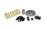 „CVT“ variatorius „Malassi 2000 Multivar Kymco XCITING   Grand Dink 250cc“