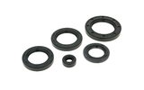 Variklio alyvos antspaudo rinkinys „Honda Pantheon 125-150 LC 1998-2002“
