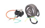 Uždegimas elektroninis OEM kokybės Puch Maxi (12 V)