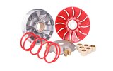 CVT variatorius Naraku Maxi-greitis „Piaggio Fly   Liberty“   „Vespa Primavera“   „Sprint   LX   S 125i   150i 3V“