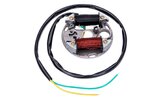 Statoriaus uždegimas 12v 35W PUCH MAXI E50   SACHS   HERCULES   Zã¼NDApp