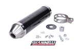 Duslintuvas Giannelli Street Carbon Aprilia RS 125 2 taktų 1999–2007 m.