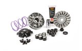 CVT variatoriaus „Malossi MHR 2“ komanda „Aliuminum Piaggio Zip   NRG“