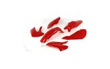 Plastikinis komplektas raudonas Pit Bike / Dirt Bike Typ KLX110