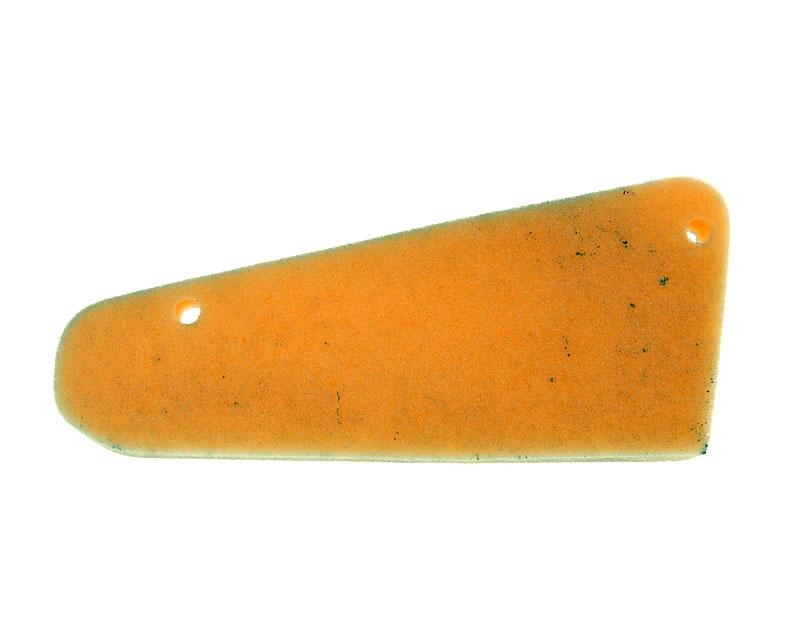 Oro filtro kempinė TGB, Pegasus