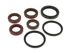 Variklio riebokšlių komplektas Aprilia, Benelli, Derbi, Peugeot, Piaggio, Vespa Maxi