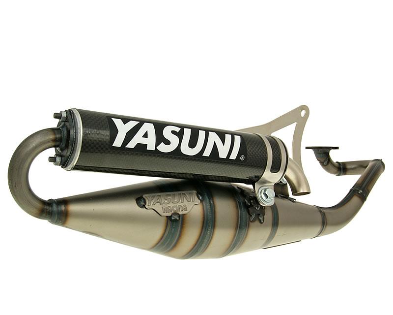 Duslintuvas Yasuni Scooter Z carbon E pažymėtas Minarelli Horizontal