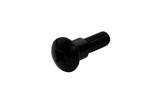 Varžtinė apvali galvutė su petimi M6x22mm