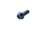 Sraigtinė šešiakampė galvutė Torx M6x16mm