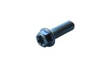 Sraigtinė šešiakampė galvutė Torx M6x20mm