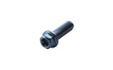 Varžtinė šešiakampė galvutė Torx M8x25mm