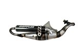 Išmetimo Doppler S3R Evolution Carbon Look Piaggio Zip / Typhoon