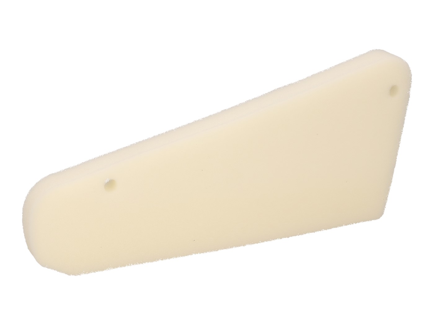 Oro filtro kempinė TGB, Pegasus
