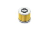 Alyvos filtras Athena XTX 660
