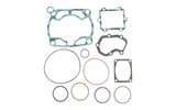 Cilindro tarpiklių komplektas Suzuki RM 250 1991-1995