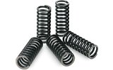 Clutch Springs Pro Circuit KXF 250 iki 2020 m
