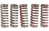 Clutch Springs Pro Circuit CRF 250 2010-2017 m