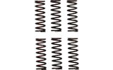 Clutch Springs Pro Circuit CRF 450 po 2021 m