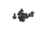 Phillips Screw M6x12 juodas (x10)