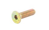 Sraigtinis stabdžių diskas M8x30mm cinkuotas