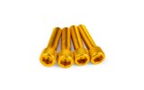 Įsiurbimo varžtų komplektas M6x25mm Alu Gold (x4)
