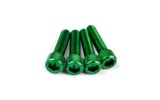 Įsiurbimo varžtų komplektas M6x25mm Alu Green (x4)