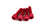 Įsiurbimo varžtų komplektas M6x25mm Alu Red (x4)