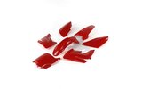 Plastikinis komplektas raudonas Pit Bike / Dirt Bike Typ CRF70