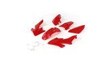 Plastikinis komplektas raudonas Pit Bike / Dirt Bike Typ CRF50