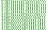 Racing Grille Mesh STR8 plonas (30x30cm) žalias