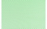 Racing Grille Mesh STR8 plonas (30x30cm) neoninis žalias