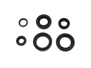 Alyvos sandariklių komplektas 20x35x7 28x40x8 25x40x5 15x26x6 21x15x4 12x22x5, skirtas Yamaha, DT 80 MX, RD, TW