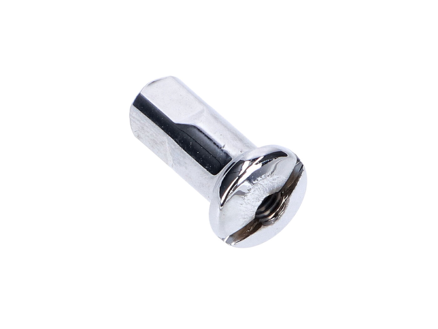 Antgalis stipinui M3,5 mm